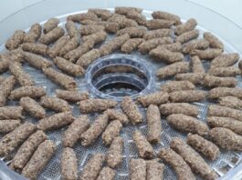 Identifican propiedades antiinflamatorias y antioxidantes en harinas integrales de semillas de chía y lino