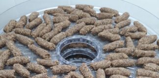 ALIMENTOS FUNCIONALES Identifican propiedades antiinflamatorias y antioxidantes en harinas integrales de semillas de chía y lino