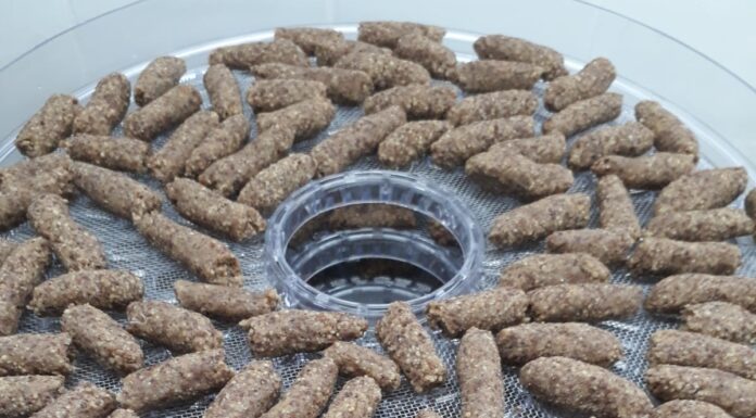 ALIMENTOS FUNCIONALES Identifican propiedades antiinflamatorias y antioxidantes en harinas integrales de semillas de chía y lino