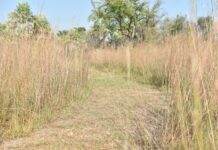 TEMOR POR SEQUÍA El regreso del fenómeno de La Niña: desde el INTA instaron a “no ser alarmistas”