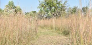 TEMOR POR SEQUÍA El regreso del fenómeno de La Niña: desde el INTA instaron a “no ser alarmistas”