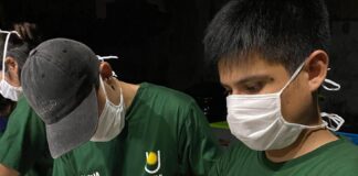 Describen lesiones, enfermedades y demás daños en serpientes decomisadas por tráfico ilegal en Chaco y Corrientes