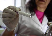 EN VINCULACION CON PRODUCTORES Servicio para el control de la garrapata común del bovino, un aporte de la UNNE a la sanidad animal