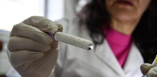 EN VINCULACION CON PRODUCTORES Servicio para el control de la garrapata común del bovino, un aporte de la UNNE a la sanidad animal
