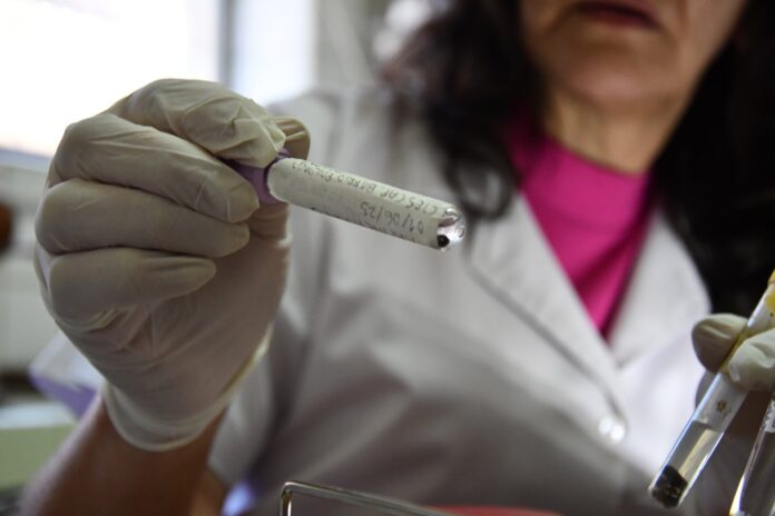 serrvicio de garrapata 6