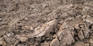 Ciencia y Técnica Ingeniería Geotécnica: estudiante enfoca investigación en  el comportamiento de los suelos arcillosos del NEA