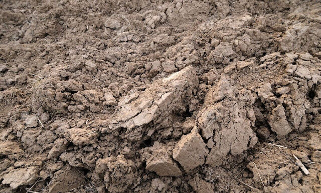 Ciencia y Técnica Ingeniería Geotécnica: estudiante enfoca investigación en el comportamiento de los suelos arcillosos del NEA