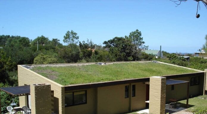 Nuevos Conocimientos Techos verdes: una herramienta de ingeniería para regular el exceso de lluvia urbana