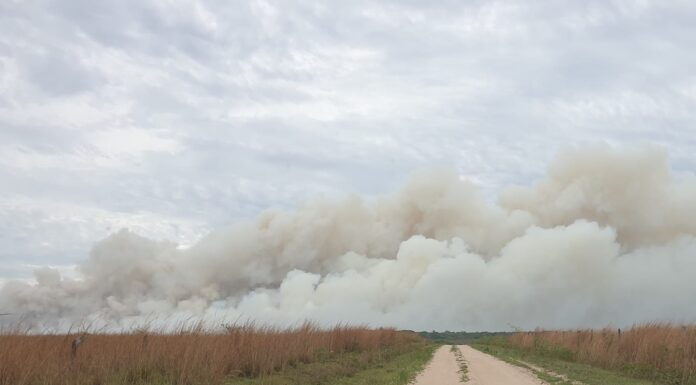 FOCOS DE INCENDIOS Sequía: «la recurrencia de eventos climáticos extremos expone la necesidad de sistemas de alerta tempranas»