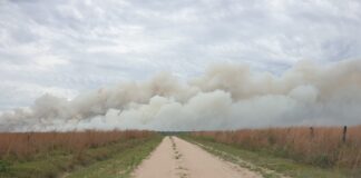 Se subsidiarán 16 proyectos que estudiarán impactos de la sequía e incendios en Corrientes