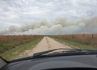 Se subsidiarán 16 proyectos que estudiarán impactos de la sequía e incendios en Corrientes