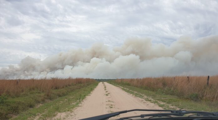 Se subsidiarán 16 proyectos que estudiarán impactos de la sequía e incendios en Corrientes