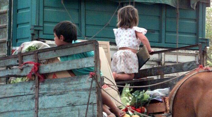 INVESTIGACIÓN Trabajo Infantil: nuevos conocimientos sobre una problemática histórica y vigente