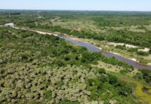 APROBADO POR NACIONES UNIDAS Con tecnologías de IA, buscan predecir brotes de enfermedades transmitidas por Aedes aegypti en Argentina, Brasil y Paraguay