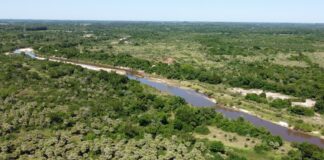 APROBADO POR NACIONES UNIDAS Con tecnologías de IA, buscan predecir brotes de enfermedades transmitidas por Aedes aegypti en Argentina, Brasil y Paraguay