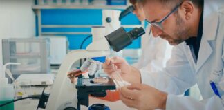 SIMPOSIO VIRTUAL NEO/NEA Moscas de la fruta: el modelo innovador para personalizar los tratamientos contra el cáncer