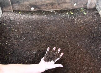 EXPERIENCIA DE SOSTENIBILIDAD EN LA UNNE Presentan “Hacia Basura Cero”, libro digital sobre la experiencia de gestión de residuos en FaCENA